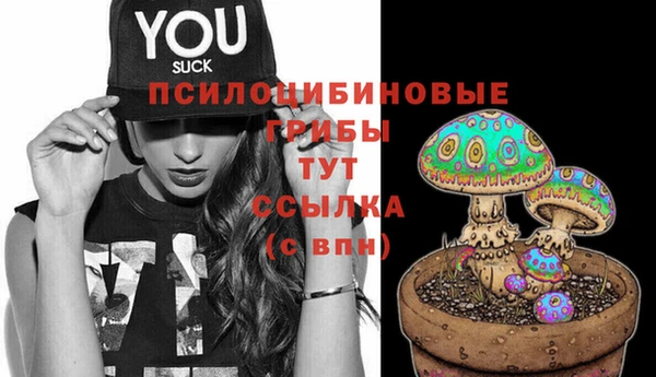 ECSTASY Абинск