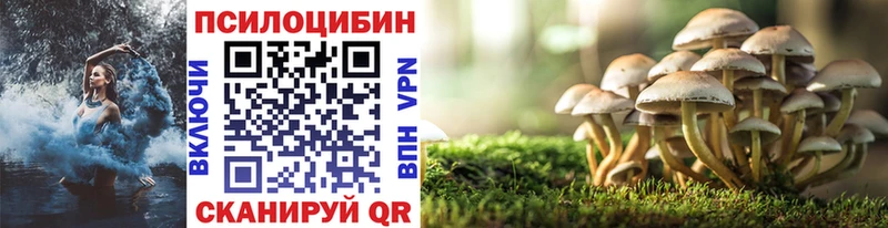 где купить наркоту  Шали  Псилоцибиновые грибы Cubensis 