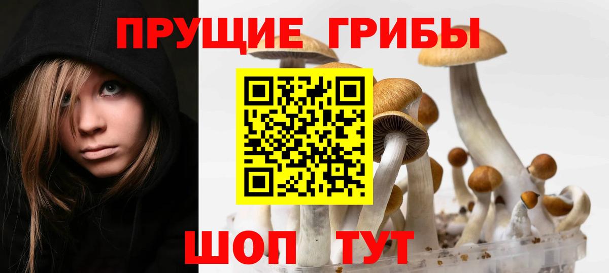 Псилоцибиновые грибы мицелий  Вход с VPN  Псилоцибиновые грибы мицелий  Шали 